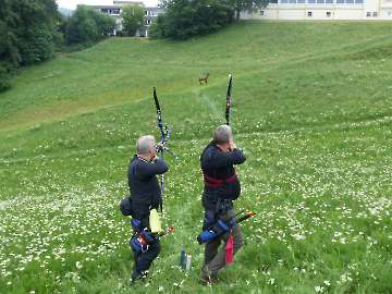 LM 3-D des NBSV 2018-38