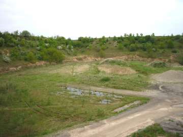 LM Feldbogen und Waldrunde NBSV 2014-67