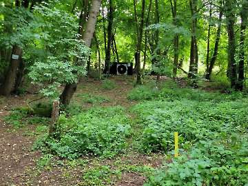 15.06.2024 - Offene Landesmeisterschaft