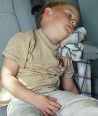 Landesmeisterschaft Wald/Feld in Uetze-45